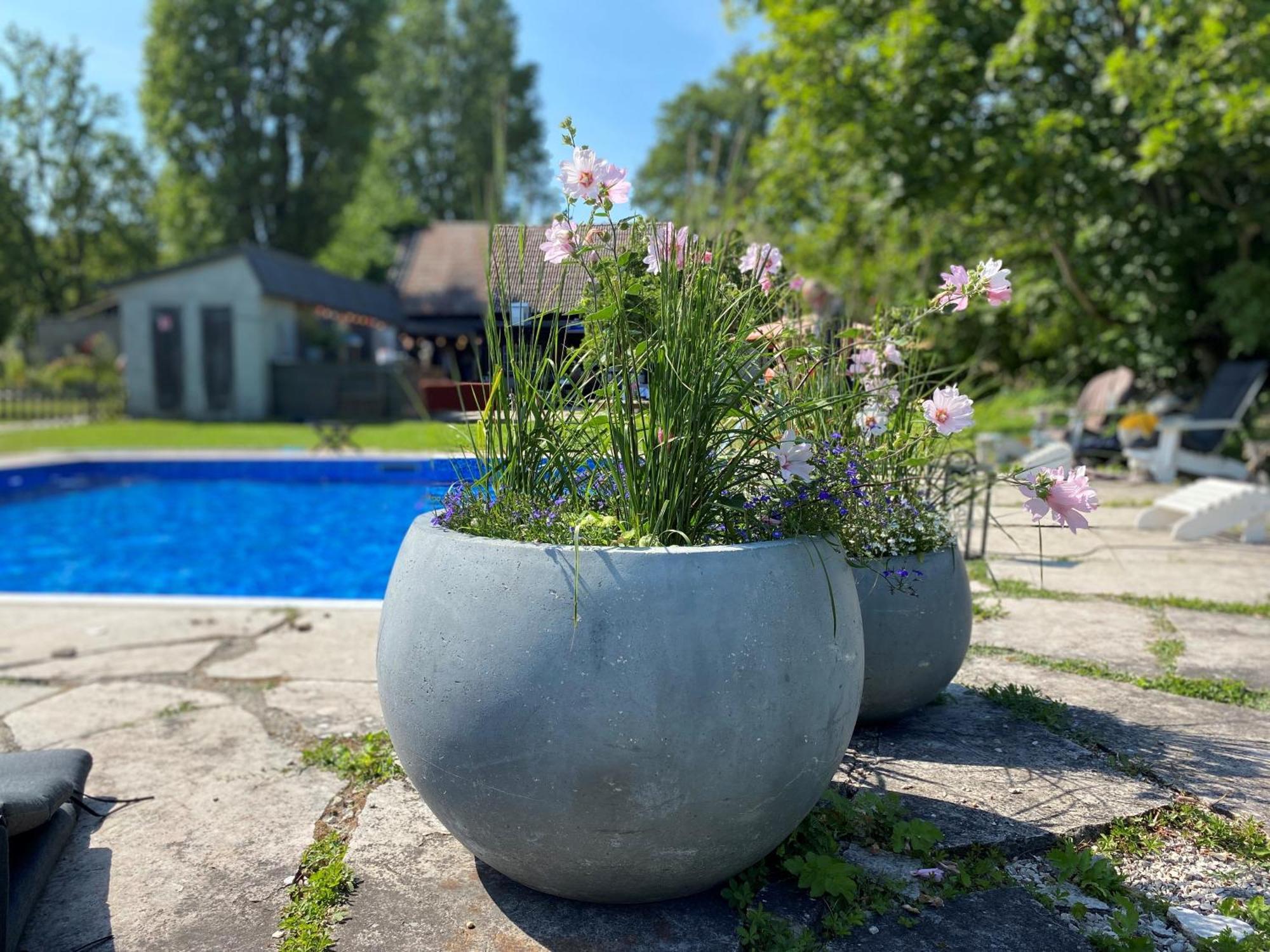 Gra Gasen Hotel Burgsvik ภายนอก รูปภาพ